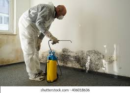 Trusted Loganville, GA Mold Inspection Experts